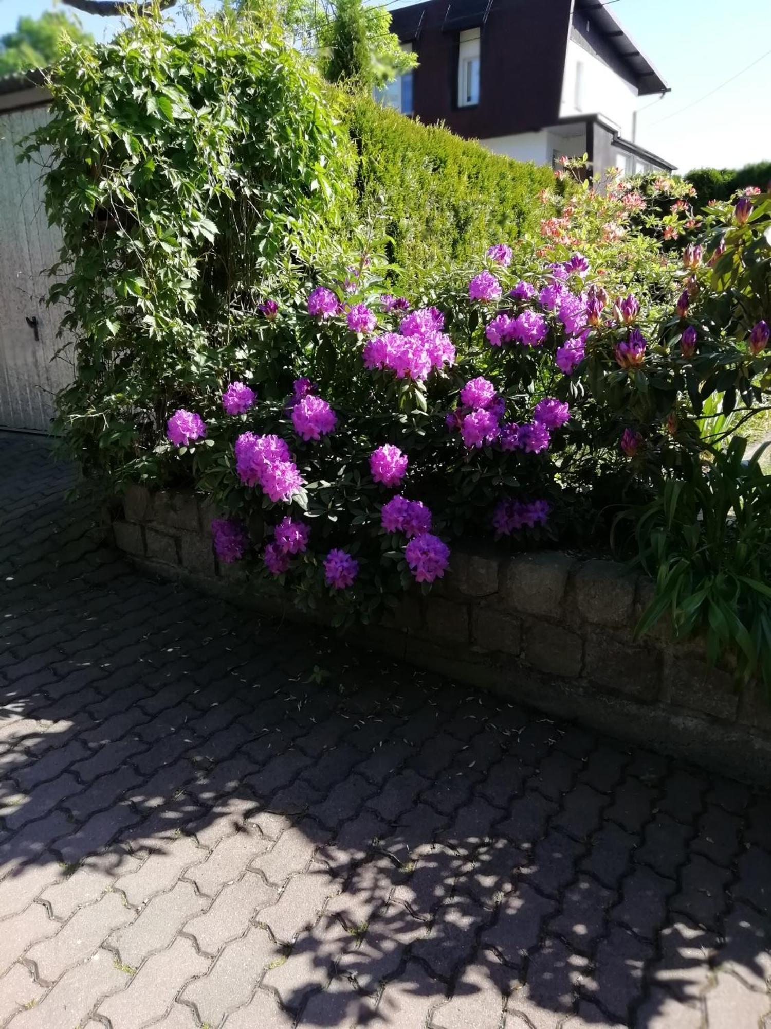 Apartament Wlodek Jelenia Gora Exterior photo